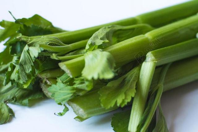芹菜 绿色 食品 蔬菜 健康 有机 新鲜 营养 未加工的食物