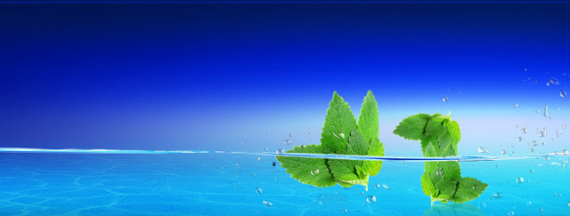 淘宝清新水纹树叶背景