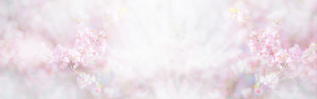 桃花节梦幻浪漫炫彩白BANNER