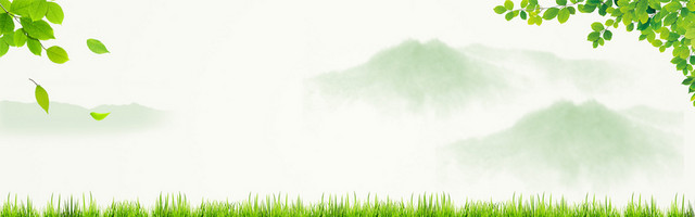 绿色草本天然护肤美妆用品海报背景