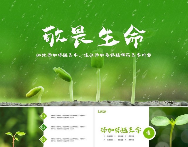 绿色唯美绿色植物发芽植物生长敬畏生命PPT模板