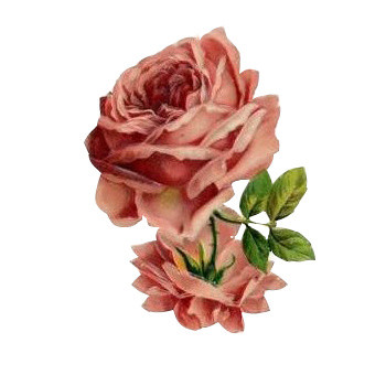 英伦风图标手绘素材 精美花束玫