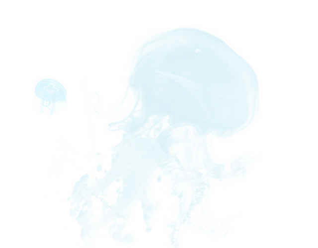 透明水水纹水母元素