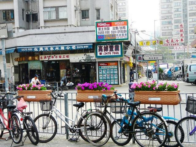 自行车 街 查看 花 老 镇 城市 元朗 香港 中国