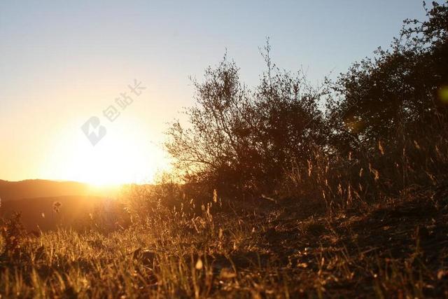 日落 天空 金色的夕阳 太阳 草原 自然 射线 山