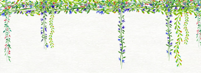 小清新文艺水彩手绘藤条花藤花朵背景