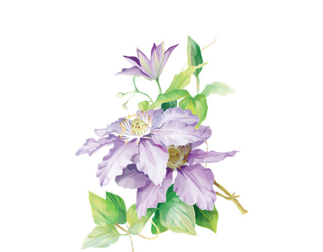 手绘花