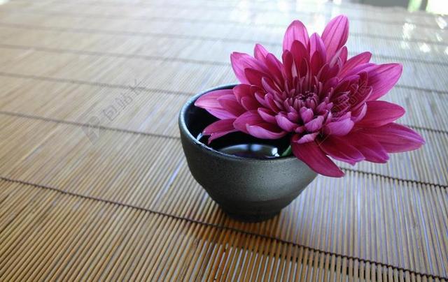 菊 竹簾 日式 禅