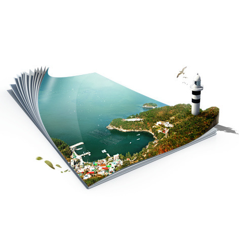 书籍上海湾