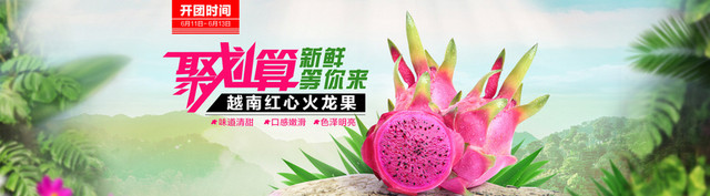 火龙果背景