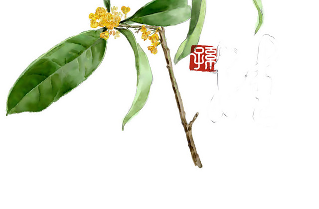 桂树国画