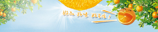 橙子新鲜童趣BANNER
