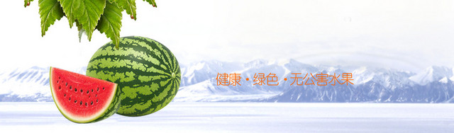 西瓜BANNER