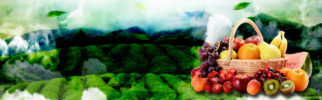 果园新鲜扁平BANNER