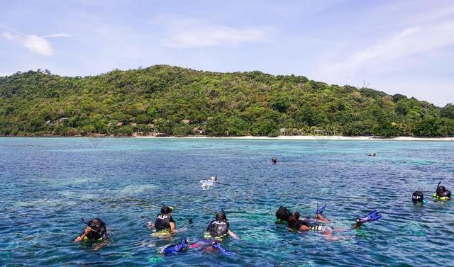 普吉岛 披披岛旅游 泰国 海滩 浮潜 人 休闲 岛 海