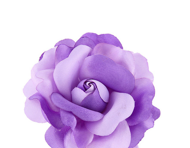 紫色的花