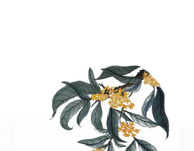 手绘卡通桂花枝条