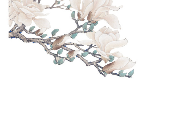 玉兰花鸟