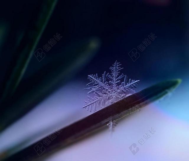 摄影清新雪花背景图片