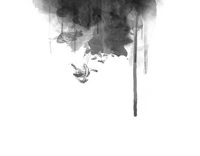 水墨黑天鹅