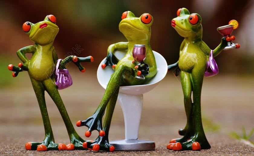庆祝喝滑稽青蛙可爱搞笑傲慢背景图片