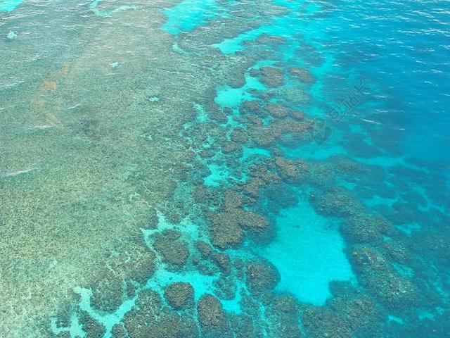 大堡礁 跳水 潜水 珊瑚 海洋 太平洋 鸟瞰图 澳大利亚