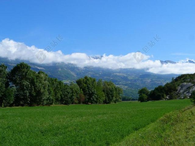 景观 性质 场 山 夏季 字段 绿色 蓝色 天空 树