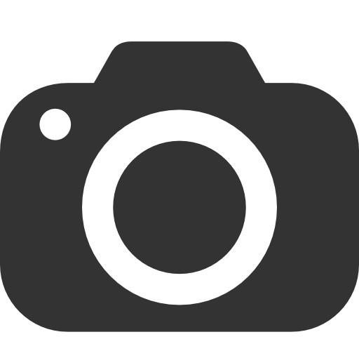 SCREENSHOT ICON