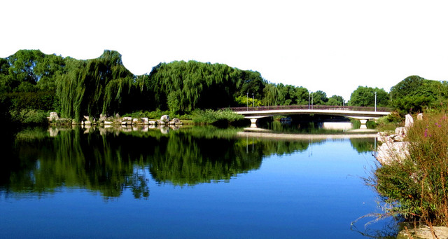 奥林匹克森林公园景区