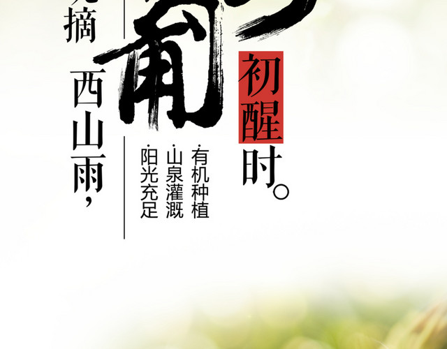 葡萄海报设计