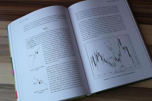 本书 内容 专业阅读 TRADINGBUCH 烛台