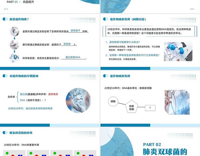 蓝色简约DNA是主要的遗传物质苏教版八年级生物下册PPT课八年级生物下册课件