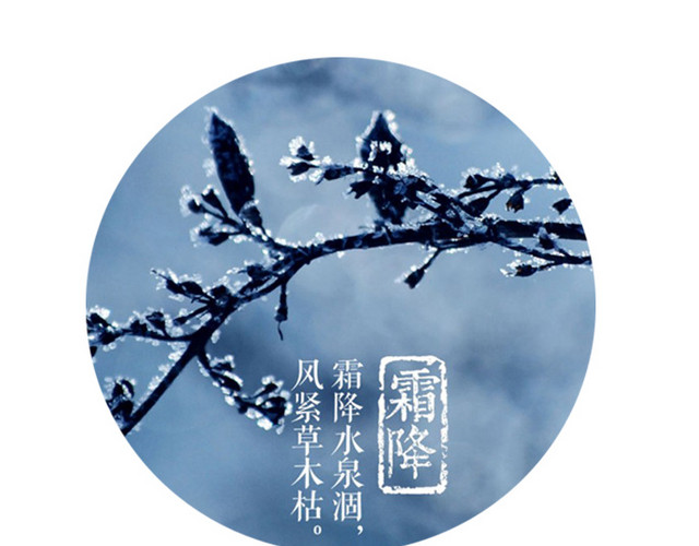 简约小清新二十四节气霜降