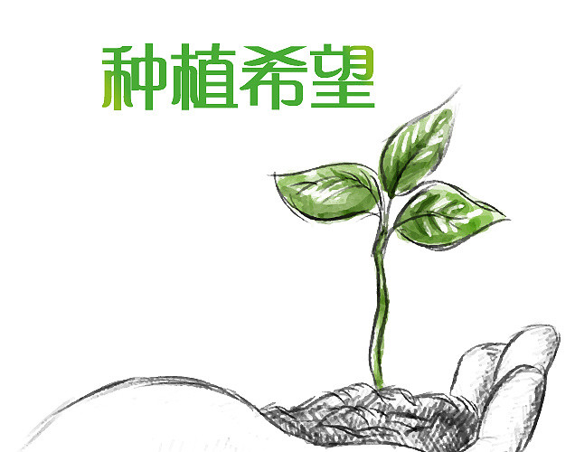 手掌中希望的种子