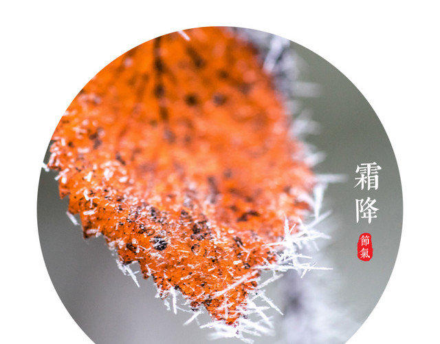 简单风景廿十四节气霜降
