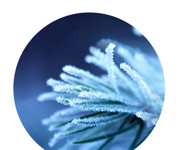 简洁清新二十四节气之霜降