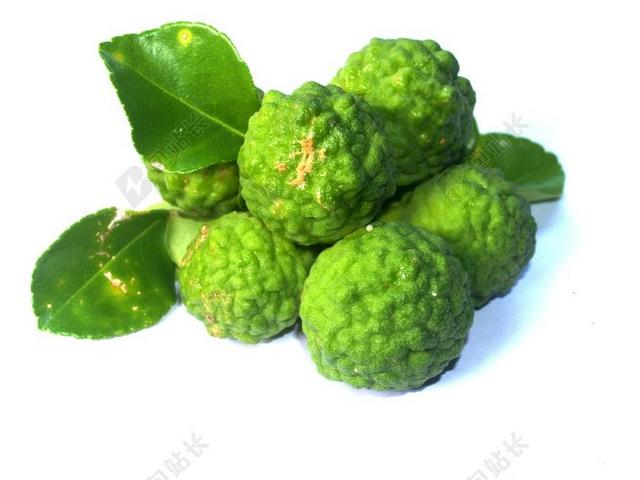 佛手柑 水果 叶 孤立 泰国 粗 柠檬 自然 热带 绿色