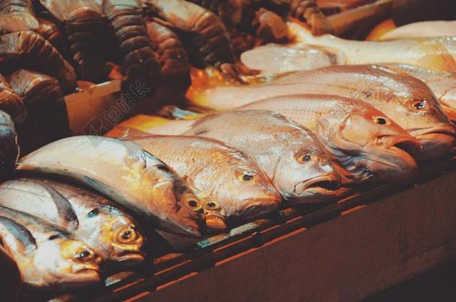 鱼 龙虾 海鲜 食品