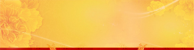 奢华金色梅花花纹中国风背景BANNER