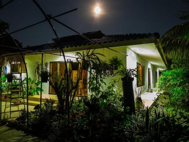 建筑简约满月的夜晚花园背景图片