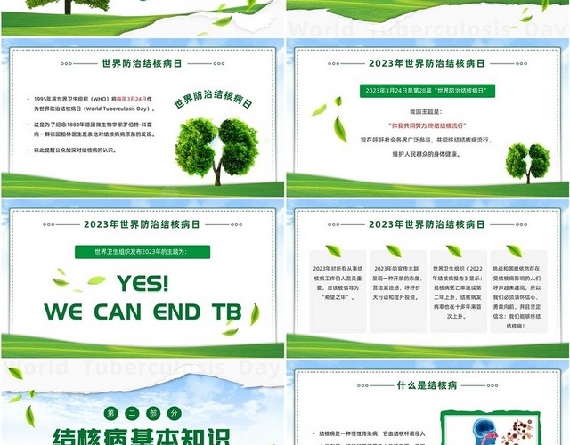 绿色简约世界防治结核病日你我共同努力终结结核流行PPT课件