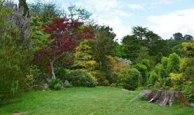 公园 PARKLANDSCHAFT 心情 性质 景观 马克罗斯公园