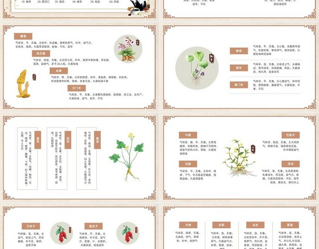 黄色中国风常见中草药培训PPT课件中医