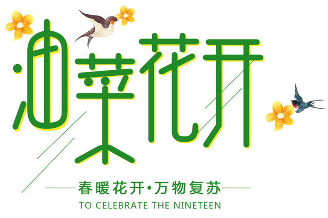 油菜花