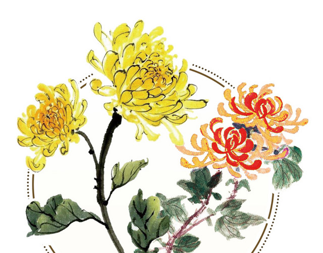 黄色菊花