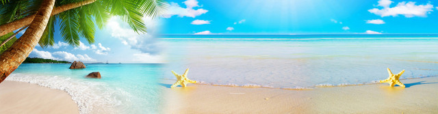 沙滩海边清新背景BANNER