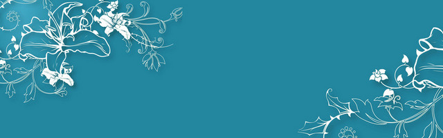 时尚蓝色花纹背景BANNER