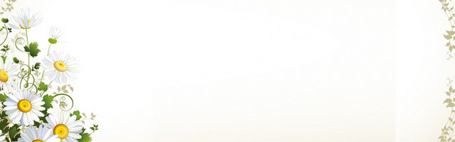 淘宝化妆品护肤品面膜花纹背景BANNER