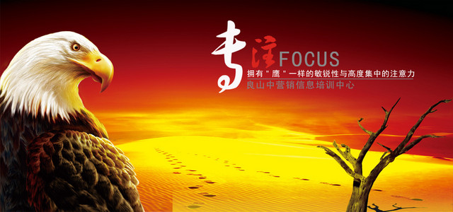 企业文化网站BANNER
