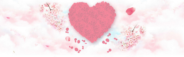 520BANNER